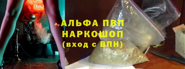 СК Новокубанск