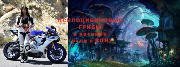 СК Новокубанск