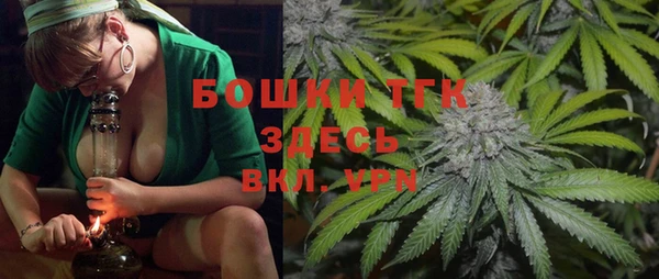 PSILOCYBIN Новозыбков