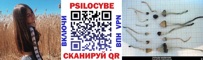Псилоцибиновые грибы Magic Shrooms  Алатырь 