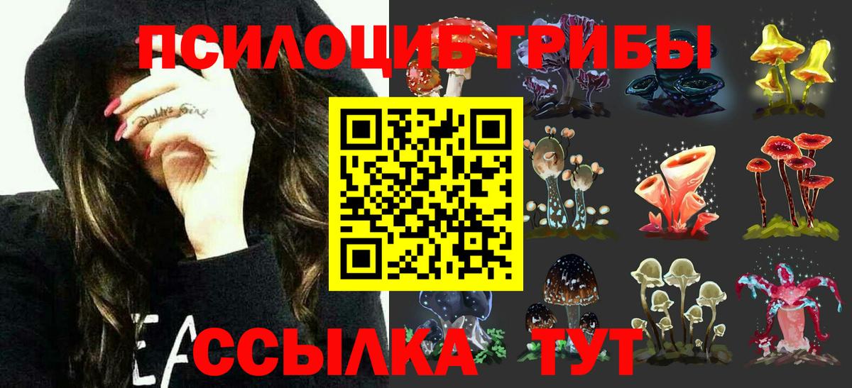 Псилоцибиновые грибы MAGIC MUSHROOMS Алатырь