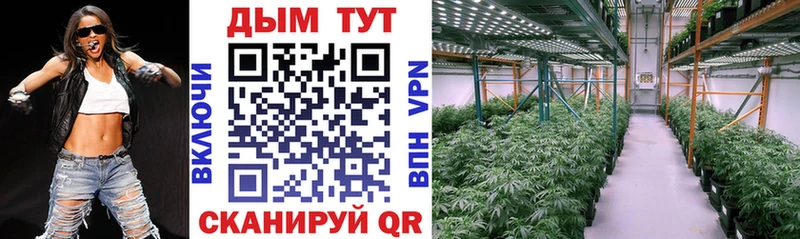 Бошки Шишки OG Kush  Алатырь 